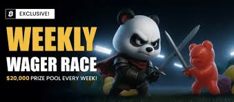 Enhancing Player Privacy with Zero-Knowledge Proofs