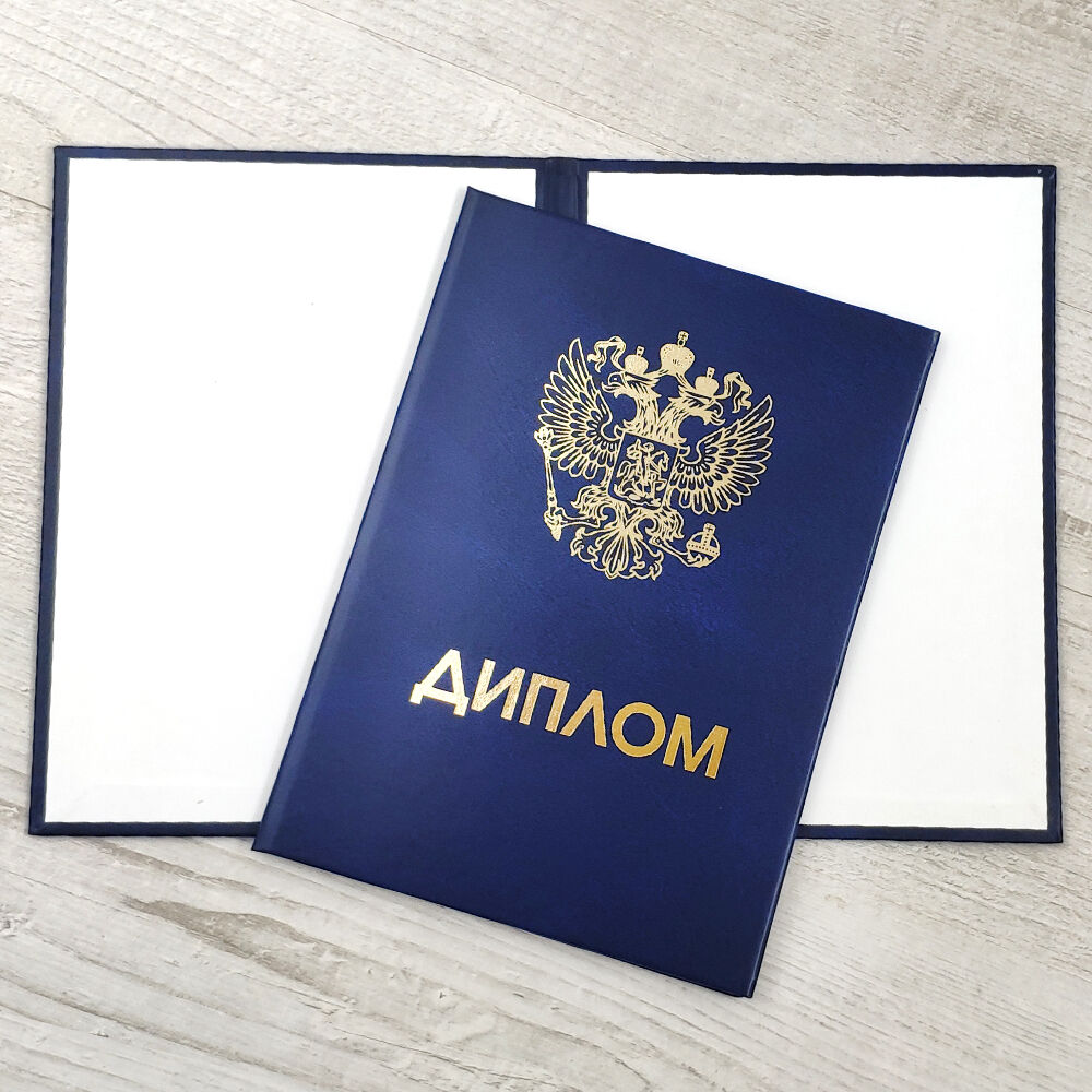 Купить диплом ИСИТ ДГТУ возможности и преимущества